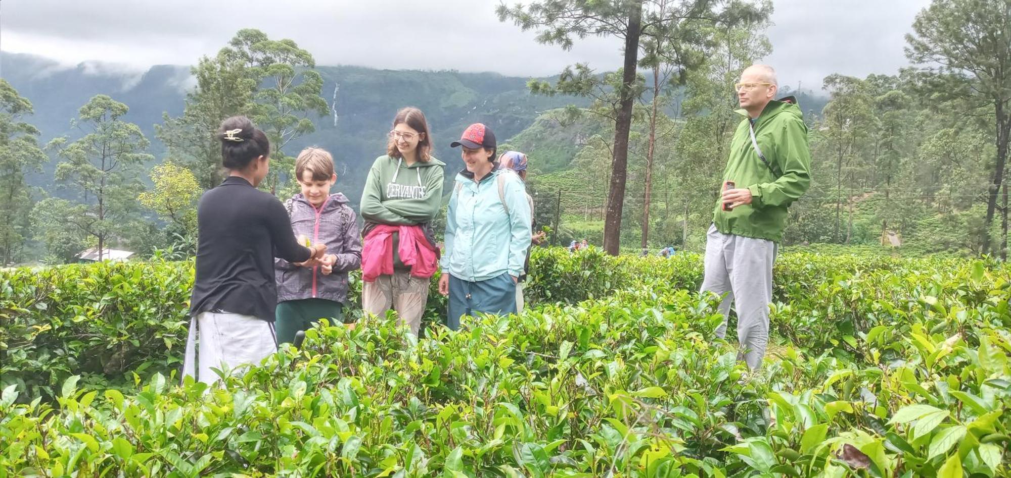 Serenity Heights Nuwara Eliya Eksteriør bilde